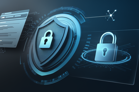 DevRepublic beveilig gegevens tijdens softwareontwikkeling